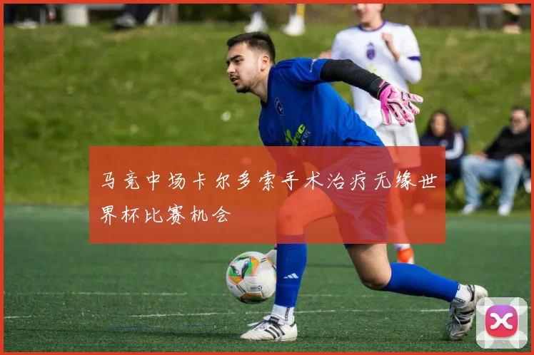 马竞中场卡尔多索手术治疗无缘世界杯比赛机会