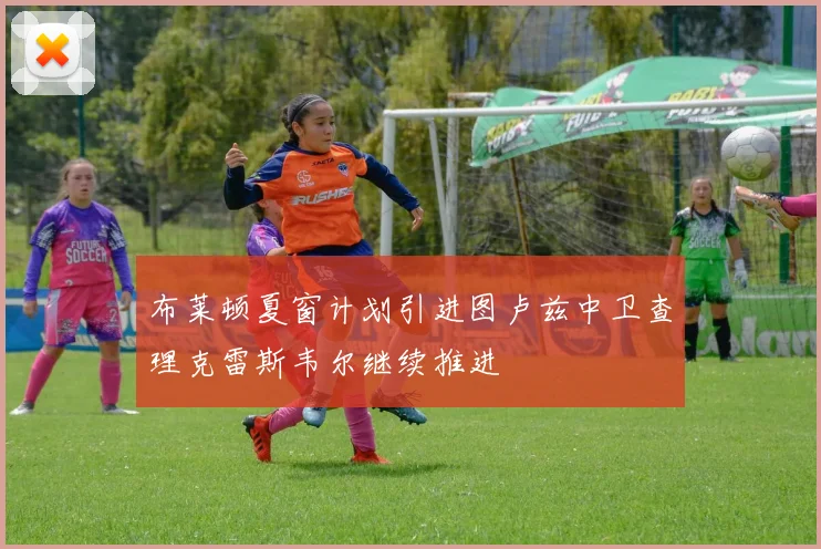 布莱顿夏窗计划引进图卢兹中卫查理克雷斯韦尔继续推进